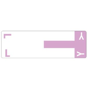 The Smead AlphaZ? NCC Color-Coded Label Sheet in Lavender features a minimalist design with a white rectangle, a thick vertical pink line on the right, and the L&Y logo in white. Two white corners on the left frame it. Ideal for label sheets, they come 100 per pack (67163).