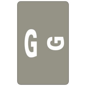 The Smead AlphaZ ACCS Color-Coded Alphabetic Label features a gray rectangular card with rounded corners, displaying a large white uppercase G on the left and a smaller lowercase g on the right. Available in packs of 100 labels (67177).