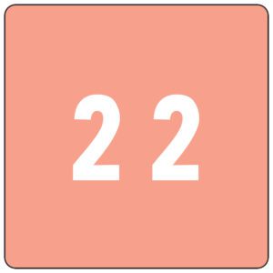 The image shows the number 22 in white on a salmon pink, square background with rounded corners, echoing the style of Smead DCC Color-Coded Numeric Labels (Product 67422), known for their distinct numeral and color design.