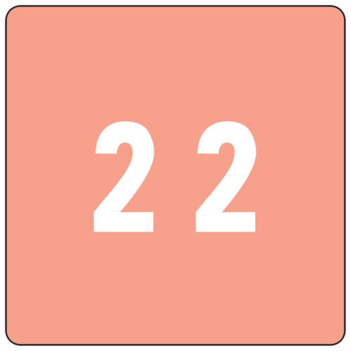 The image shows the number 22 in white on a salmon pink, square background with rounded corners, echoing the style of Smead DCC Color-Coded Numeric Labels (Product 67422), known for their distinct numeral and color design.