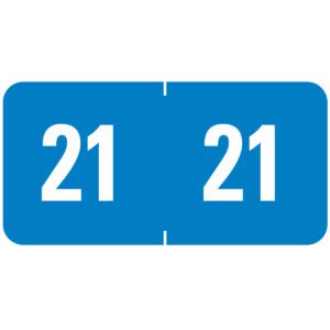 The Smead ETS Color-Coded Year Label in light blue displays 21 twice, divided by a thin vertical line, elegantly marking the year 2021. Available as a label sheet with 250 labels per pack (67921).