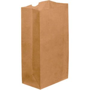 The 6 1/8 x 4 x 12 3/8 Kraft Grocery Bags stand upright with a flat bottom and open top, ideal for carrying groceries, lunches, or small items. These plain brown bags come in bundles of 500 and feature no designs or logos, offering a classic look.