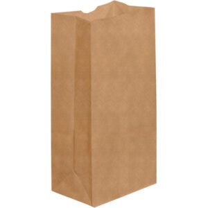 A tall Kraft Grocery Bag (6 5/16 x 4 1/8 x 13 3/8) stands upright against a white background, showcasing its plain brown design with a rectangular base and pleated sides.