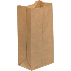 A 4 5/16 x 2 7/16 x 7 7/8 plain brown Kraft Grocery Bag with a flat bottom and crinkled top edges stands on a neutral background, featured as part of the Kraft Grocery Bags collection (500/Case).