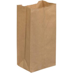 A slightly crumpled 4 3/4 x 2 15/16 x 8 9/16 Kraft Grocery Bag from the case of 500 stands upright against a white background.