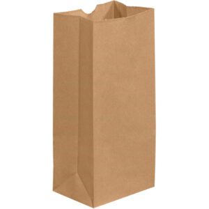 The 5 1/4 x 3 7/16 x 10 15/16 Kraft Grocery Bags (500/Case) stand upright with a flat bottom, open top, and slightly creased sides, making them perfect for groceries or lunch.