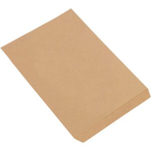 A plain, brown kraft paper envelope, like the 10 x 13 Kraft Flat Merchandise Bags (1000/Case), lies flat on a white surface. Rectangular with slight texture, ideal for securely mailing or storing documents.