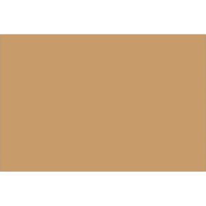The image is filled with a solid light brown color similar to the soothing hue of 2 x 3 Kraft Block Out Labels (500/Roll), ideal for labeling.