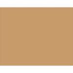 An 8 x 10 Kraft Block Out Label, matching the color of cardboard or light brown, fills the entire image. Product: 8 x 10 - Kraft Block Out Labels (250/Roll).