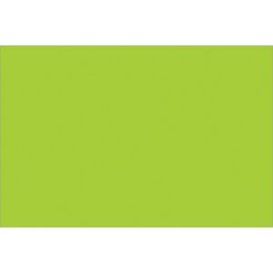The item is a solid lime green rectangle, similar to MH-USA 2 x 3 Fluorescent Green Inventory Rectangle Labels (500/Roll), lacking additional features or patterns.