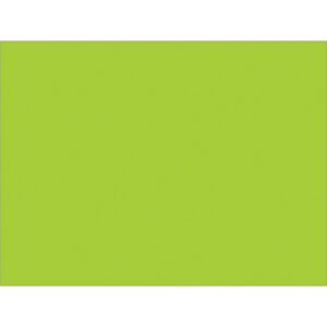 A solid, vibrant green square fills the frame, similar to MH-USAs 3 x 4 Fluorescent Green Inventory Labels (500/Roll).