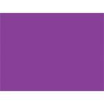 The image features a solid purple rectangle that mirrors the MH-USA 3 x 4 Purple Inventory Rectangle Labels (500/Roll), vividly covering the entire space.