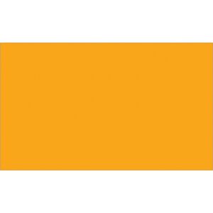 A solid bright orange rectangle resembling the MH-USA 3 x 5 Fluorescent Orange Inventory Rectangle Labels (500/Roll) fills the entire image.