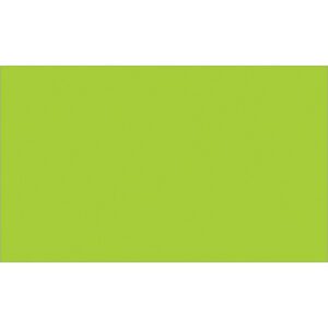A solid bright green rectangle fills the entire image, reminiscent of MH-USA 3 x 5 Fluorescent Green Inventory Rectangle Labels (500/Roll), with no extra details or patterns visible.