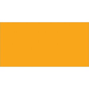 The image shows a solid, bright orange rectangle similar to MH-USA 3 x 6 Fluorescent Orange Inventory Rectangle Labels (250/Roll), with no other details visible.