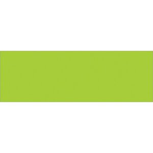 A vibrant fluorescent green rectangle, resembling the MH-USA 3 x 9 Fluorescent Green Inventory Rectangle Labels (250/Roll), stands out on a white background.