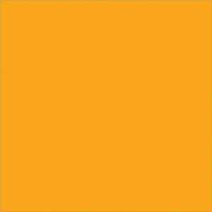 A solid orange square with no patterns, similar to the striking color of MH-USAs 4 x 4 Fluorescent Orange Inventory Rectangle Labels.