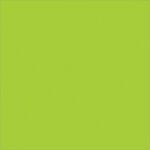 The image showcases a vibrant lime green square, echoing the bold hue of MH-USA 4 x 4 Fluorescent Green Inventory Rectangle Labels (500/Roll), filling the entire space.