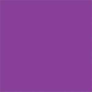 A solid 4 x 4 purple square reminiscent of the striking, minimalist MH-USA 4 x 4 Purple Inventory Rectangle Labels (500/Roll), featuring a clean design without additional elements.