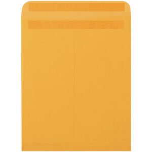 The 12 x 15 1/2 Kraft Redi-Seal Envelopes (500/Case) features a convenient top flap and sturdy paper, perfect for storing or mailing documents.