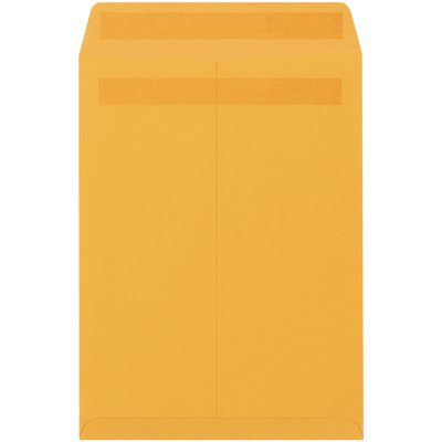 EN1054.jpg A large brown manila envelope, identified as a 10 x 15 Kraft Redi-Seal Envelope from a pack of 250, stands upright with the flap side forward, ideal for mailing documents.