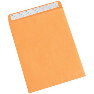 A 10 x 13 Kraft Self-Seal Envelope is shown with a peel-and-seal adhesive flap, featuring a protective paper strip for secure packaging, available in cases of 500.
