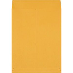 A 14 x 18 Kraft Jumbo Envelope, part of a case of 100, rests against a plain white background, highlighting its durable construction and ample size—ideal for storing or mailing important documents.