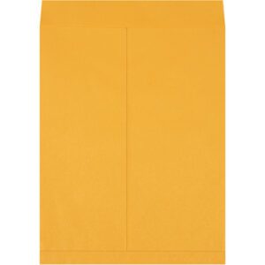 An 18 x 23 Kraft Jumbo Envelope from a case of 100 lies flat against a white background, featuring a plain light brown design with a top flap.