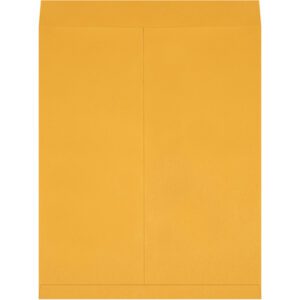 A plain 22 x 27 Kraft Jumbo Envelope from the set of 100 is shown on a white background. The flap at the top is open, and there are no markings or labels, emphasizing its simplicity.