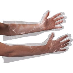 Food Service Gloves