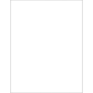 A plain white rectangle with a thin black border, reminiscent of MH-USA White Removable Rectangle Laser Labels. No extra details, colors, or objects are visible in the image.