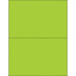 The MH-USA 8.5 x 5.5 Fluorescent Green Removable Rectangle Laser Labels (2/Sheet) divide the horizontal rectangle into two sections, each emitting a vibrant green shade.