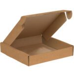When viewed from the front, this open, empty brown cardboard pizza box resembles a 10 x 10 x 3 Kraft Deluxe Literature Mailer with its hinged lid, ideal for securing delicate deliveries.