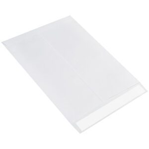 A plain white envelope, similar to the 12 x 15 1/2 Flat Ship-Lite® Envelopes (100/Case), lies face down with its triangular flap on a white background.
