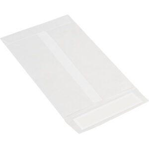 A closed 6 x 9 white Tyvek® envelope with a front translucent window rests slightly tilted on a white background. Part of a 100/Case set, it is crafted for durability.