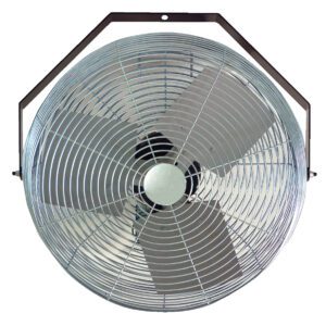 The Vestil Work Station Wall Fan, with its 12-inch blade diameter and three metallic blades encased in a circular wire guard, is mounted to a black octagonal frame and viewed from below against a white background.
