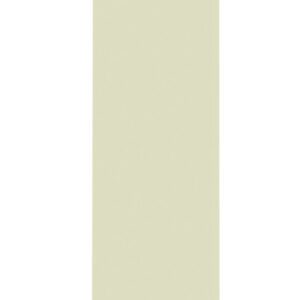 A tall, narrow, light beige rectangular slab or panel standing upright against a white background.