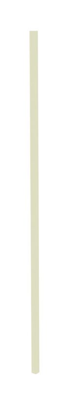 A long, vertical, light green stick-like object on a white background.
