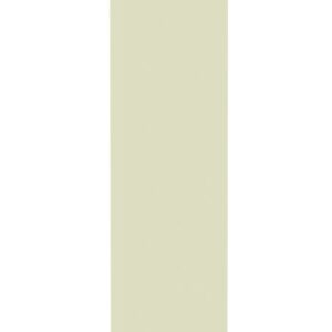 A tall, narrow 3D object stands vertically against a white background. The object is rectangular with a pale green color, resembling a thin, elongated block or panel.