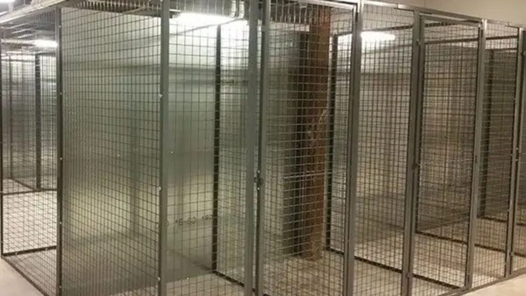 A row of empty metal wire storage cages inside a well-lit room with concrete floors serves as a prime example of residential storage solutions. These cages, equipped with padlock mechanisms, offer convenient storage options for secure management.