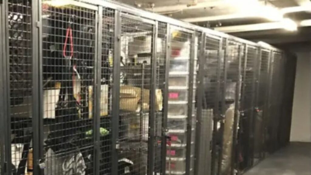 A row of metal storage cages in a dimly lit basement offers convenient storage options. Each cage holds various items, such as boxes, a red hanging strap, and assorted equipment. The concrete floor complements the ceilings exposed pipes and lights for an industrial feel.