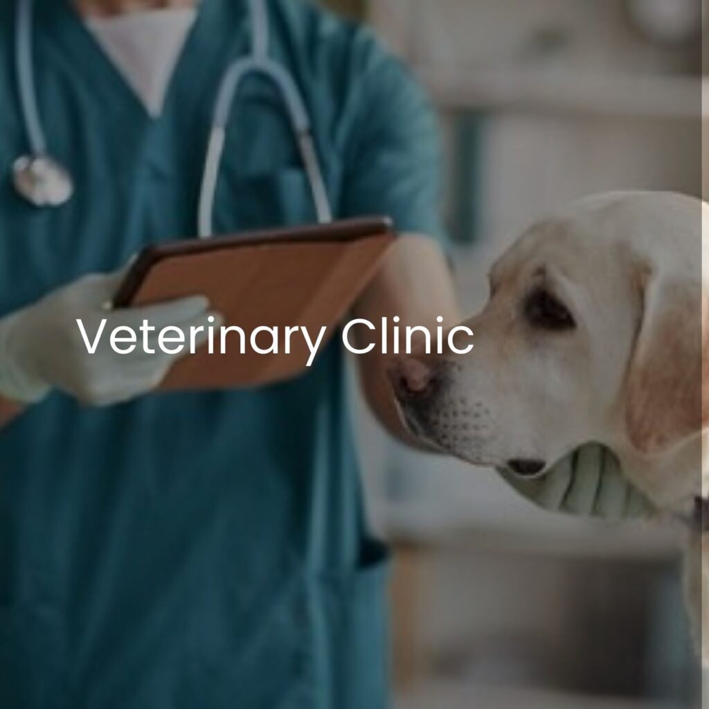 A veterinarian in a teal uniform and gloves, equipped with a Blickman tablet, examines a golden retriever. The dogs face is gently held. The words Veterinary Clinic are overlaid on the image.