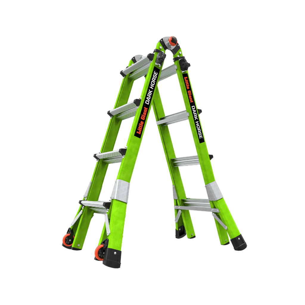 an image of a Dark Horse Ladder
