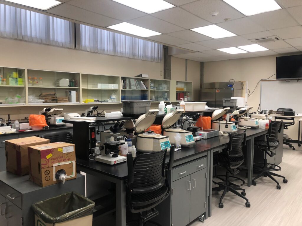 A laboratory at Weber State University boasts workstations with multiple microscopes and swivel chairs. Shelves filled with supplies line the walls, while a whiteboard and television are mounted in the background, all contributing to its clean, organized appearance.
